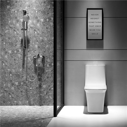 解決衛(wèi)生間的終極難題，箭牌衛(wèi)浴一步搞定